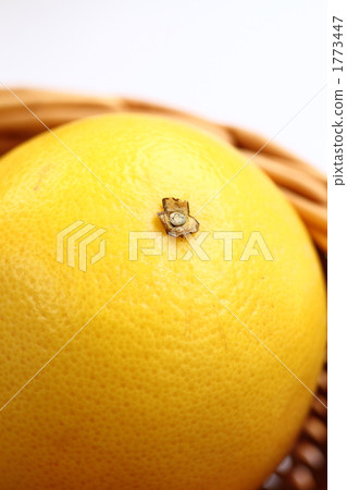 Basket grapefruit Basket grapefruit 1773447