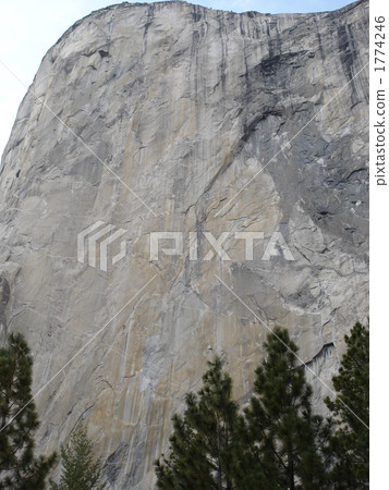 Yosemite National Park Yosemite National Park 1774246