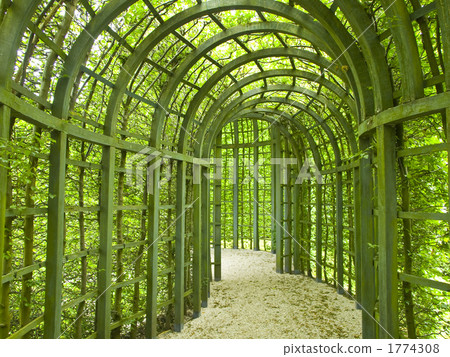 The Netherlands green corridor 1774308
