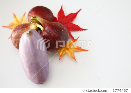 Symphonic figs 1774467