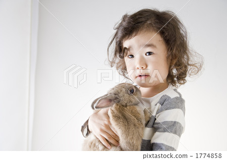 The Netherlands, rabbit, person 1774858