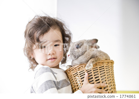 The Netherlands, rabbit, person 1774861