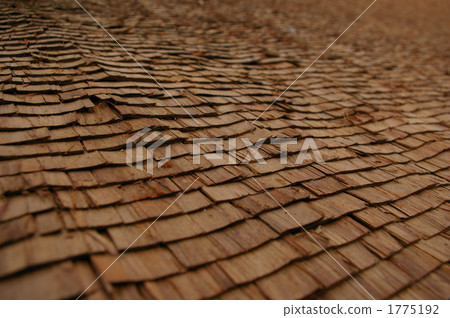 Fresh roofing of cypress scrub Fresh roofing of cypress scrub 1775192