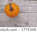 Pumpkin 4 1775308