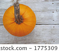 Pumpkin 5 1775309