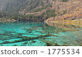 jiuzhaigou, lake, asian 1775534