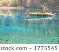 jiuzhaigou, asian, asiatic 1775545