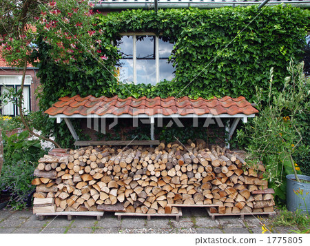 Firewood Ivy window Firewood Ivy window 1775805
