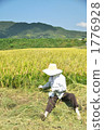My grandmother in the harvesting work 1776928
