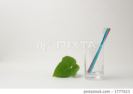 Toothbrush and plant Toothbrush and plant 1777023