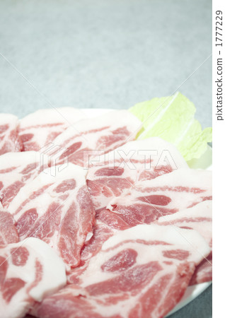 shoulder roast, loin, pork 1777229