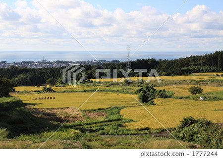 收穫的秋天 1777244