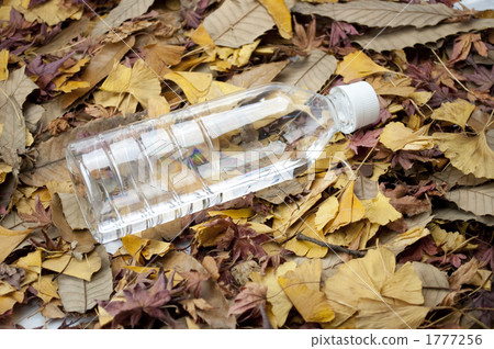 plastic bottle, dead leaf, dry leaves 1777256