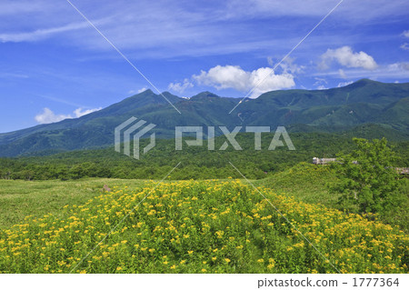 知床戈科 1777364