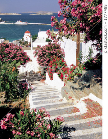 愛琴海島米克諾斯島 1777489