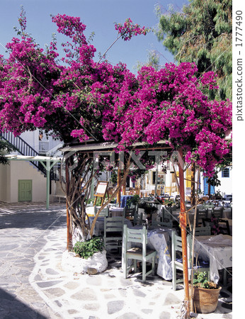 愛琴海島米克諾斯島 1777490