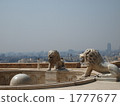 stone statue, lion, panthera leo 1777677