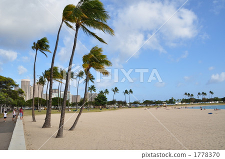 夏威夷的假期 1778370