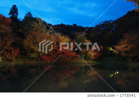 pond, lagoon, maple 1778541