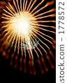金菊花 1778572
