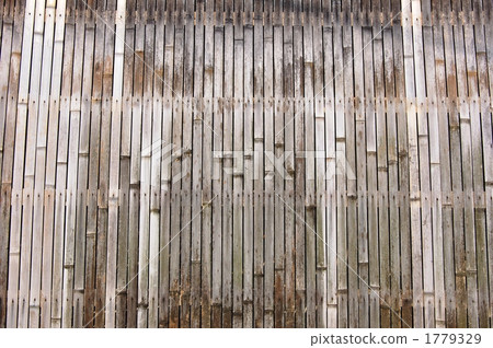 Close-up of Dog Yago 1779329