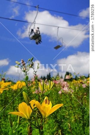 Dyna Land Yurien 1780256