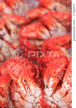 Hanasaki蟹 Hanasaki蟹 1780837