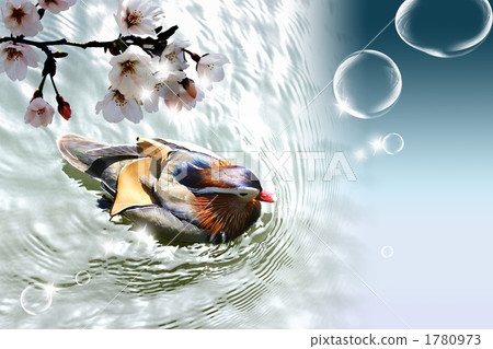 動物_k_187446 1780973