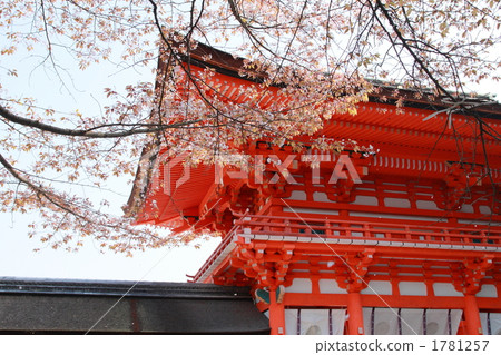 Shimogamo Shrine · The season of cherry blossoms Shimogamo Shrine · The season of cherry blossoms 1781257