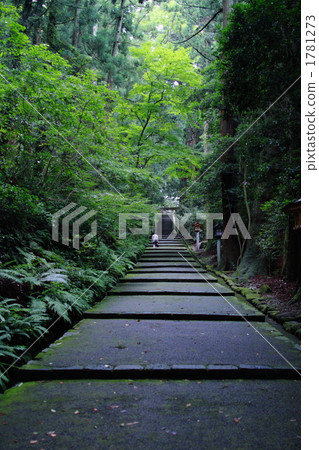 加賀一宮·白山龍津神社 1781273