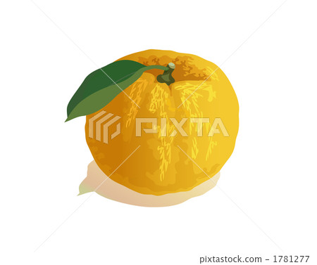 柑桔類 柑橘類 食物 1781277