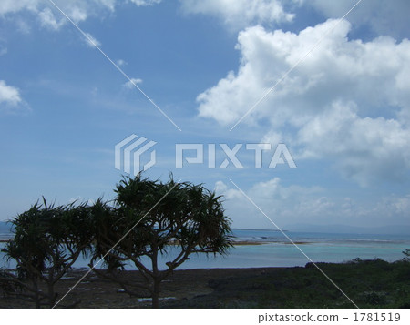 來島 八重山 風景 1781519