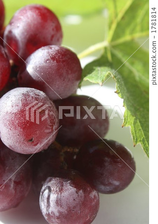 巨大的高峰 1781814