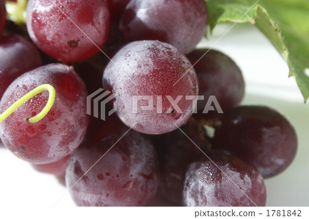 Gigantic peak 1781842