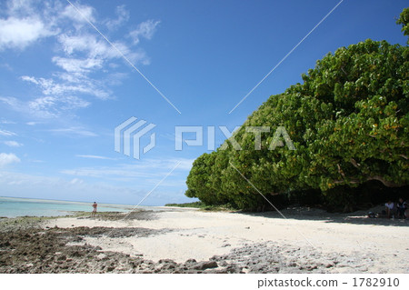 Because there is this scenery, I will visit again and again ... Okinawa 1782910