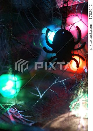 Halloween _ spider Halloween _ spider 1782942