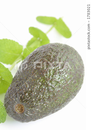 Avocado 3 1783021
