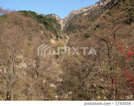  世界遺產·泰山中國 1783036