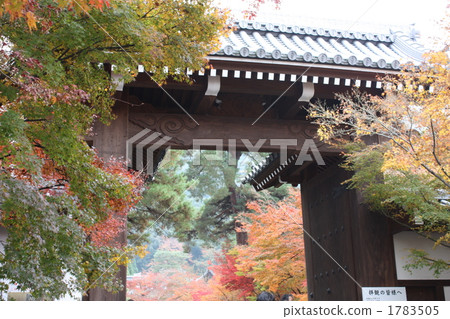 秋季葉京都 秋季葉京都 1783505