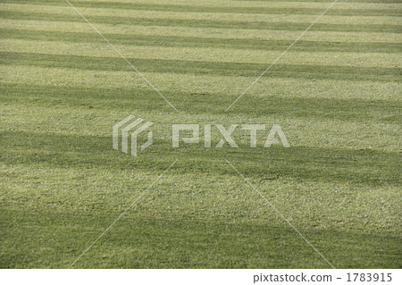 地面的草皮背景 1783915