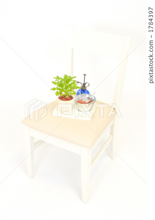 Gardening life with herb (wood sage). 1784397