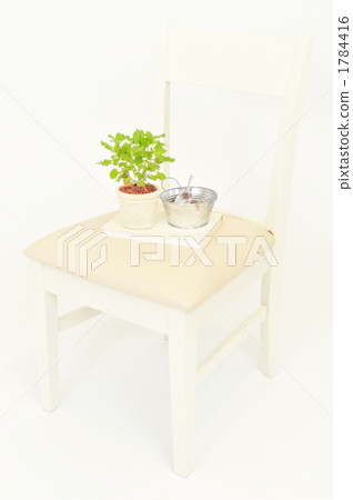 Gardening life with herb (wood sage). 1784416