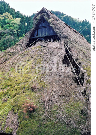 被遺棄的房子的茅草屋頂 1784707