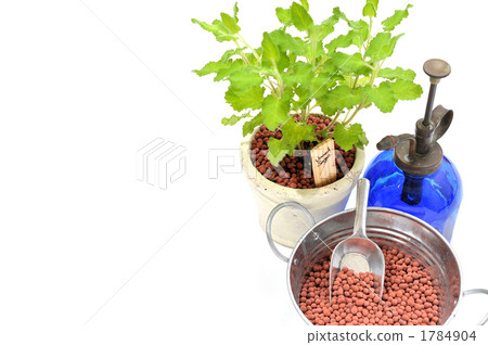 Lohas' gardening style. 1784904