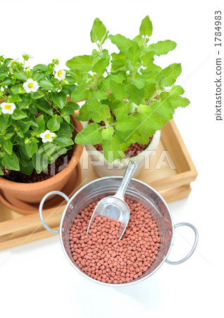 樂活的園藝風格。 1784983