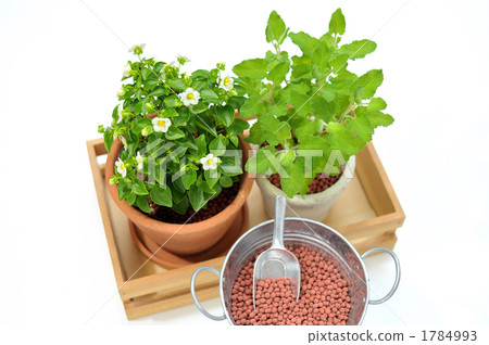 樂活的園藝風格。 1784993