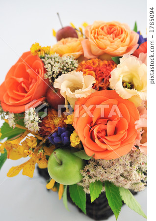 birthday, birthdays, celosia 1785094