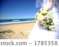 wedding  1785358