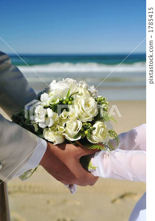 bridal couple, bride and groom, connect 1785415