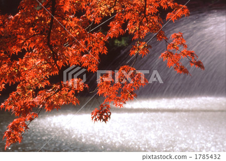 噴泉和秋天的落葉 噴泉和秋天的落葉 1785432